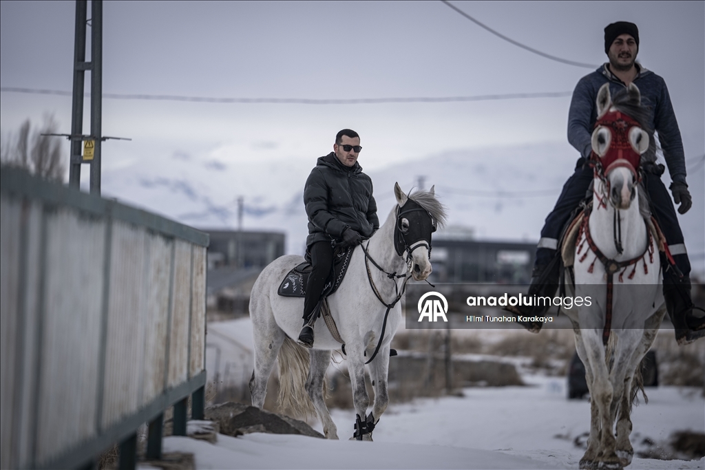 В турецком Эрзуруме популярны конные сафари