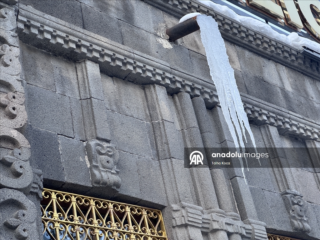 Erzurum'da soğuk hava etkili oluyor