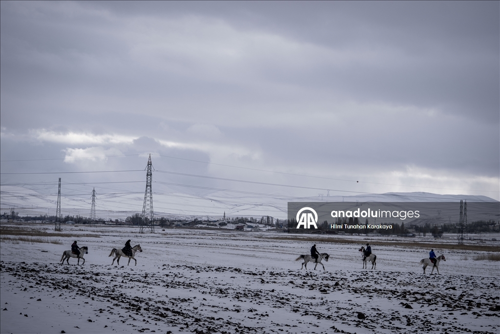 В турецком Эрзуруме популярны конные сафари