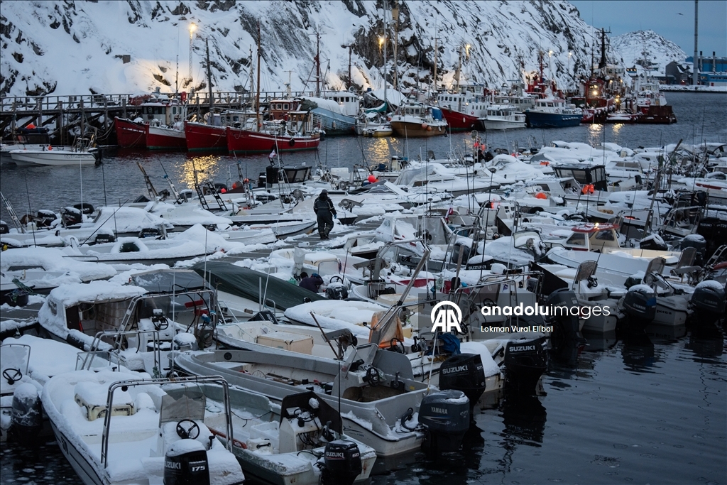 Grönland halkı ABD'nin ilhakını reddediyor