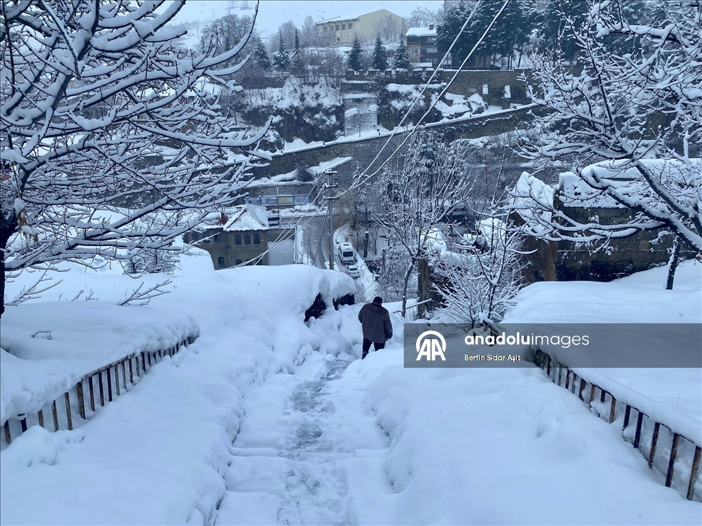 Bitlis'te kar etkisini sürdürüyor