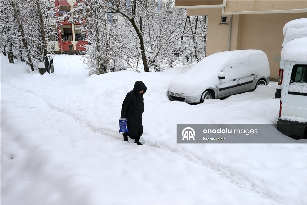 Muş'ta kar yağışı etkili oldu