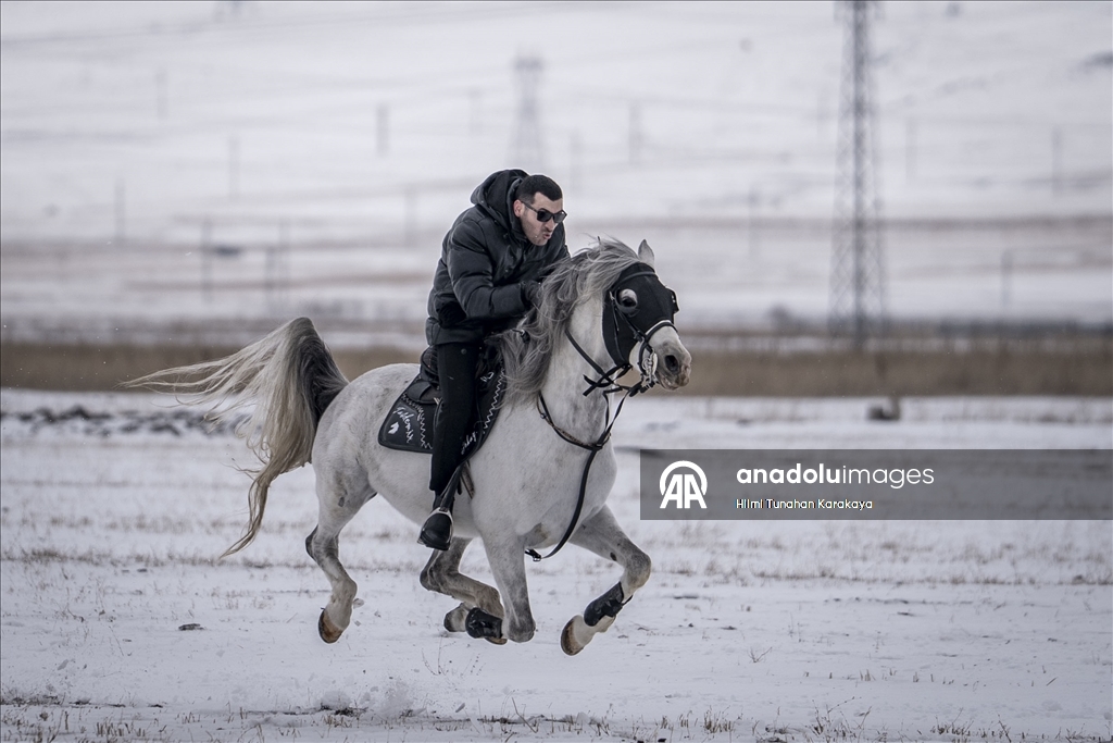 В турецком Эрзуруме популярны конные сафари
