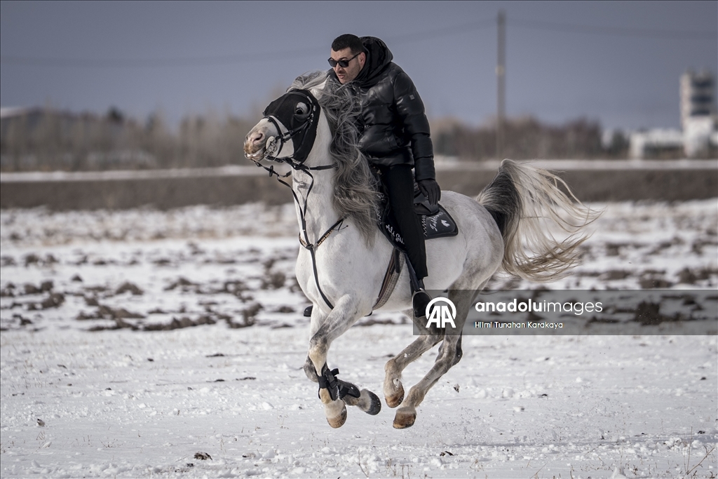 В турецком Эрзуруме популярны конные сафари