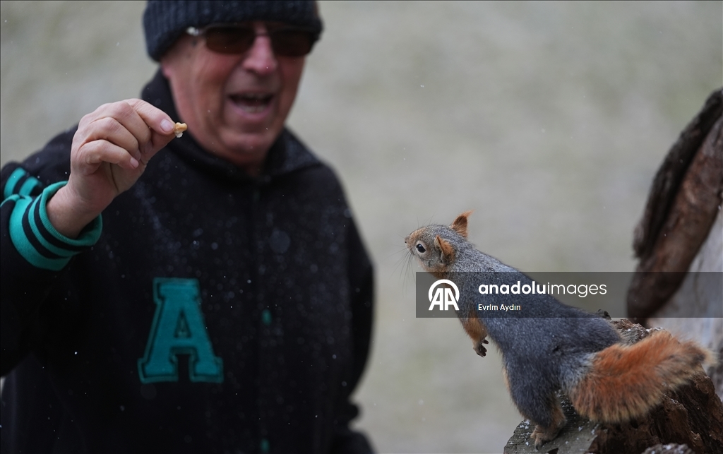 Ankara'da soğuk hava