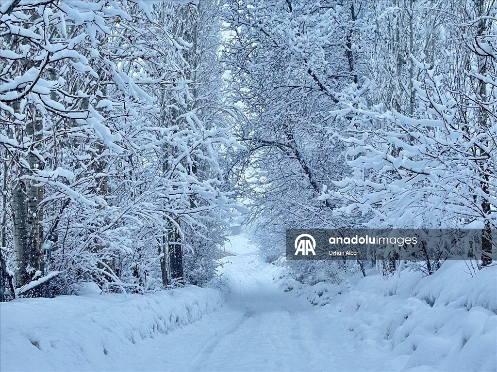 Bitlis'in Hizan ilçesinde kar yağışı etkili oldu