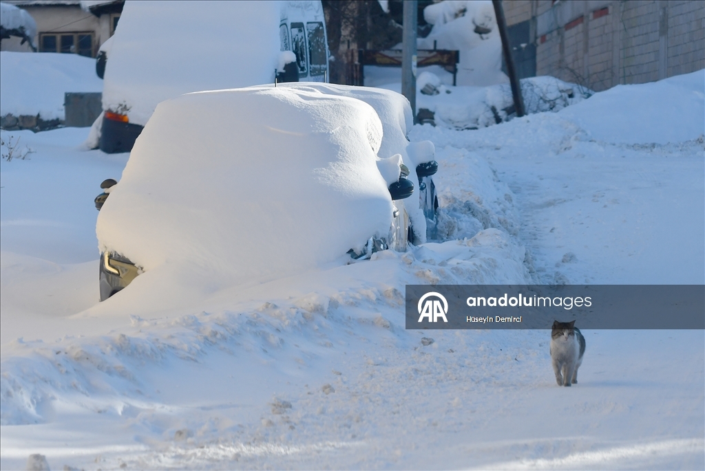 Kars'ta kar yağışı ve soğuk hava etkili oluyor