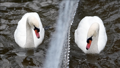 Ankara'da soğuk hava