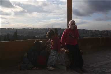 В сирийском Алеппо жизнь возвращается в нормальное русло