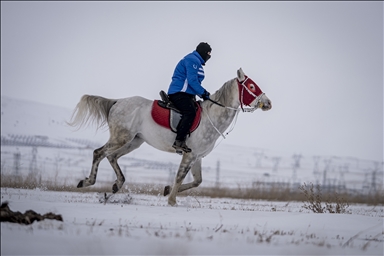 В турецком Эрзуруме популярны конные сафари