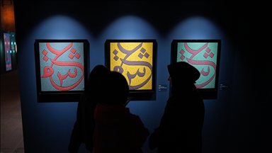 Albayrak Grubu'nun bu yılki "Hane" sergisi, aile temasını ele alıyor