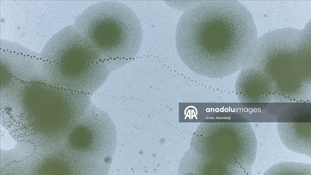 Mogan Gölü, kısmen dondu