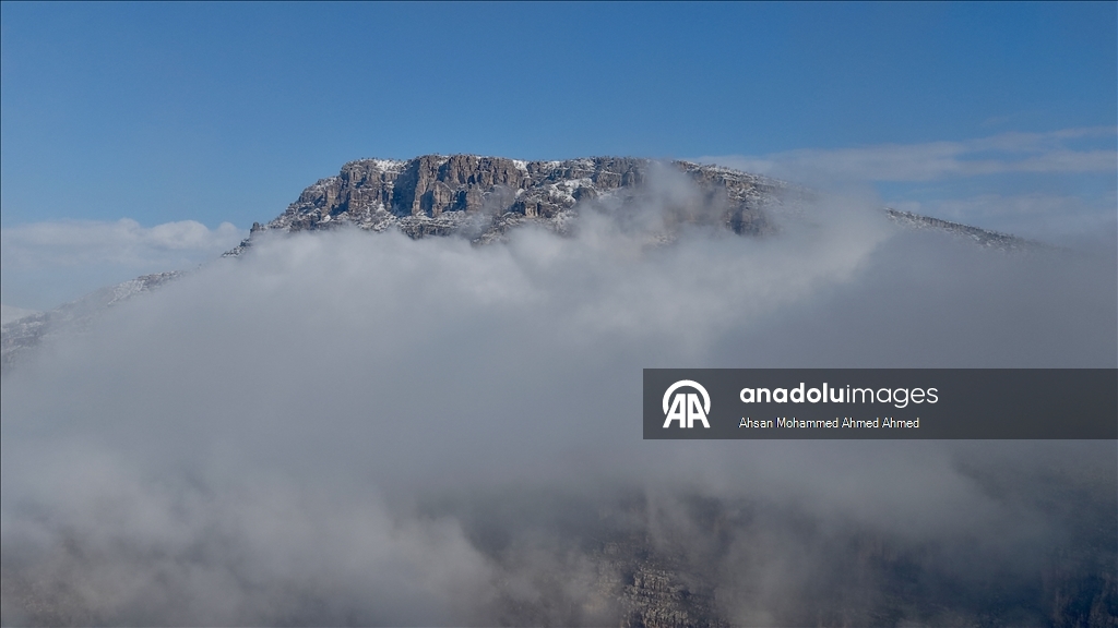 العراق.. أجواء الثلوج والضباب تشكل لوحات فنية رائعة على جبال "أربيل"
