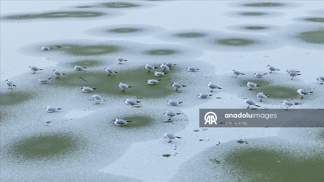 Mogan Gölü, kısmen dondu