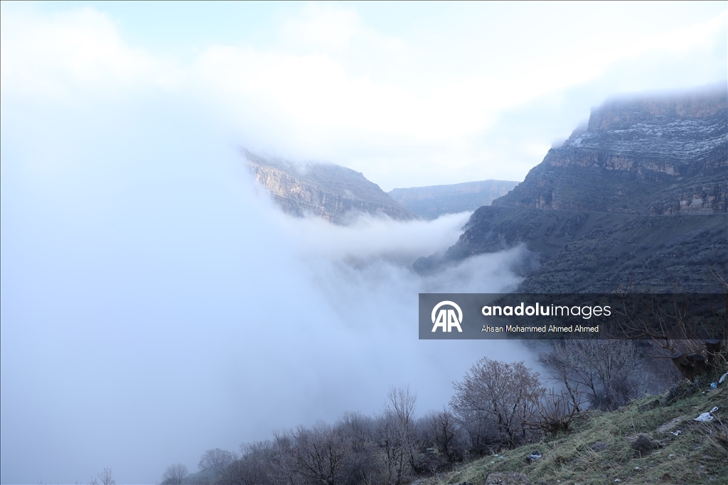 العراق.. أجواء الثلوج والضباب تشكل لوحات فنية رائعة على جبال "أربيل"