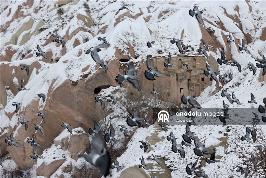 Kapadokya'daki peribacaları kar yağışının ardından beyaz örtüyle kaplandı