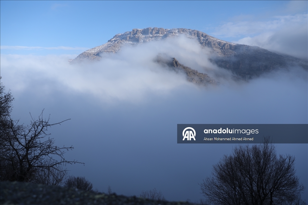 العراق.. أجواء الثلوج والضباب تشكل لوحات فنية رائعة على جبال "أربيل"