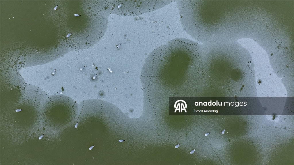 Mogan Gölü, kısmen dondu