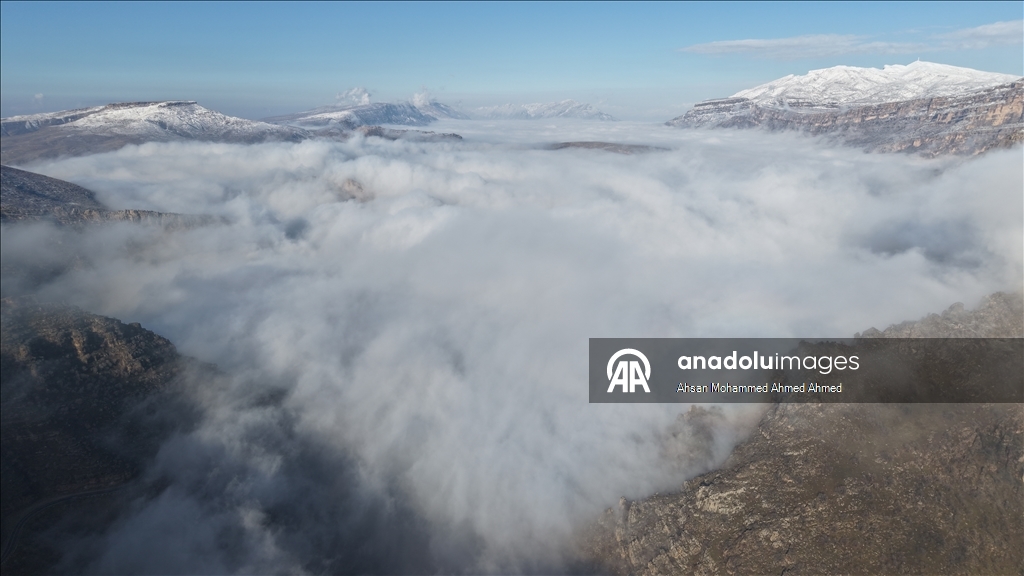 العراق.. أجواء الثلوج والضباب تشكل لوحات فنية رائعة على جبال "أربيل"