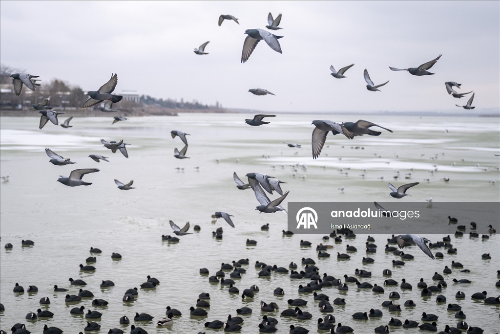 Mogan Gölü, kısmen dondu