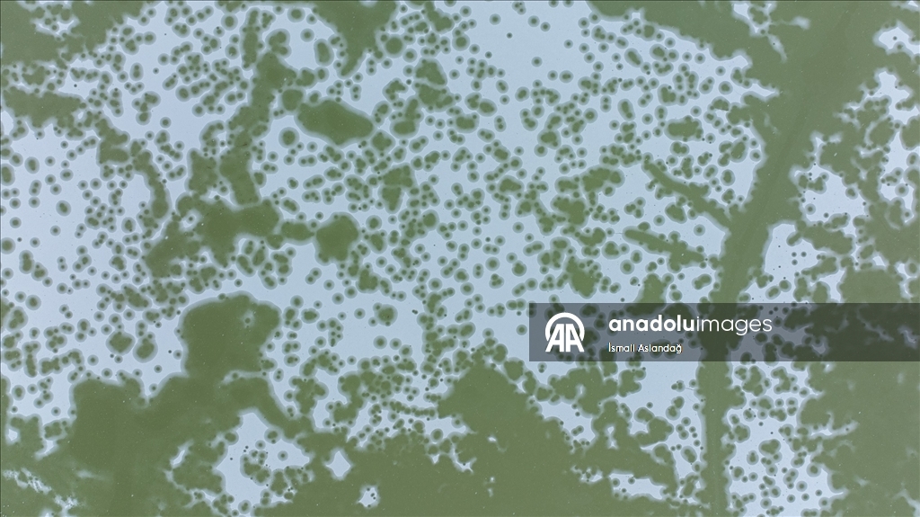 Mogan Gölü, kısmen dondu