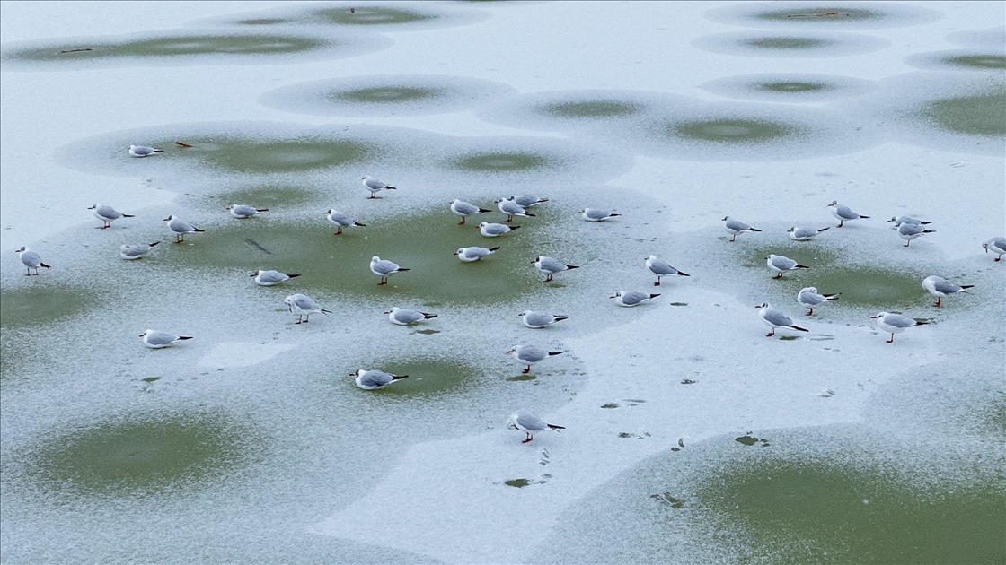 Mogan Gölü, kısmen dondu