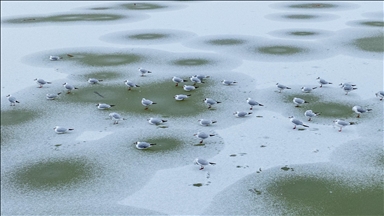 Mogan Gölü, kısmen dondu