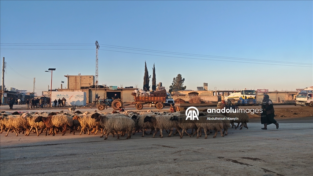 Около 1000 семей смогли покинуть район Дейр - Хафир, оккупированный YPG/SDG в Сирии