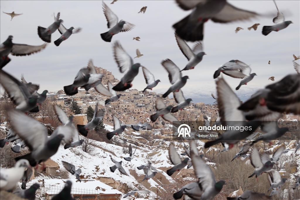 Снегопад накрыл белым покровом регион Каппадокии