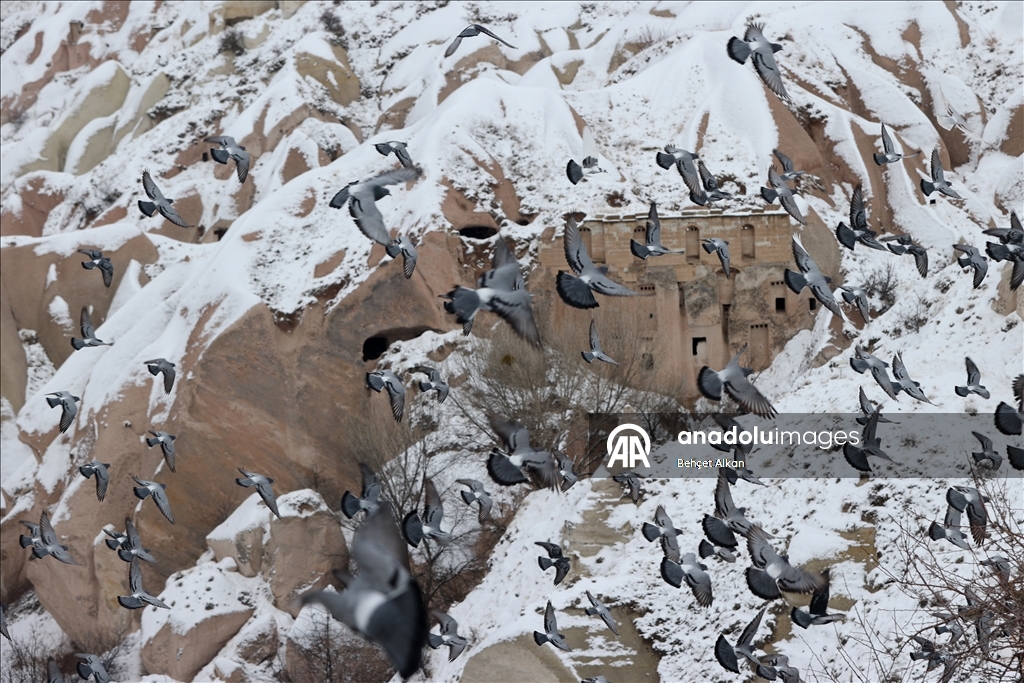 Снегопад накрыл белым покровом регион Каппадокии