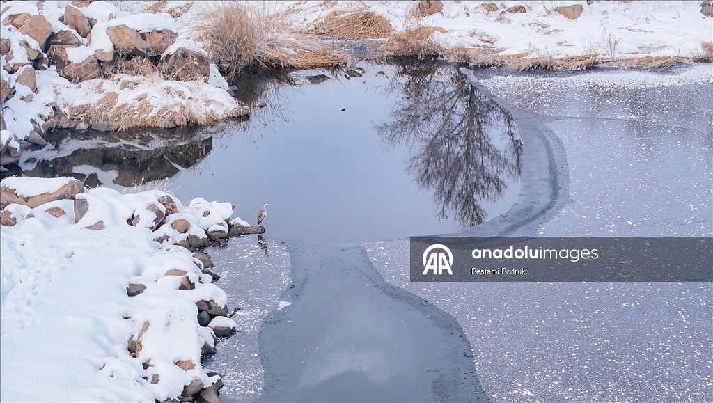 В объективы камер попали рыбаки, занимающиеся рыбной ловлей на снегу в Диярбакыре