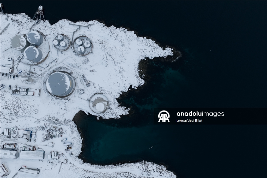 Grönland'ın geniş doğal kaynakları ve balıkçılığı stratejik önemini artırıyor