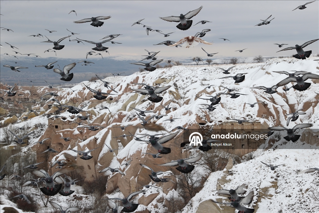 Снегопад накрыл белым покровом регион Каппадокии