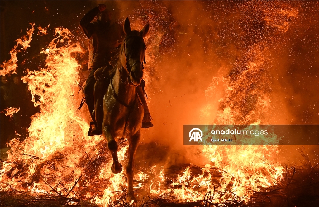İspanya'da kutsanan atlar ateşin üzerinden atlatıldı