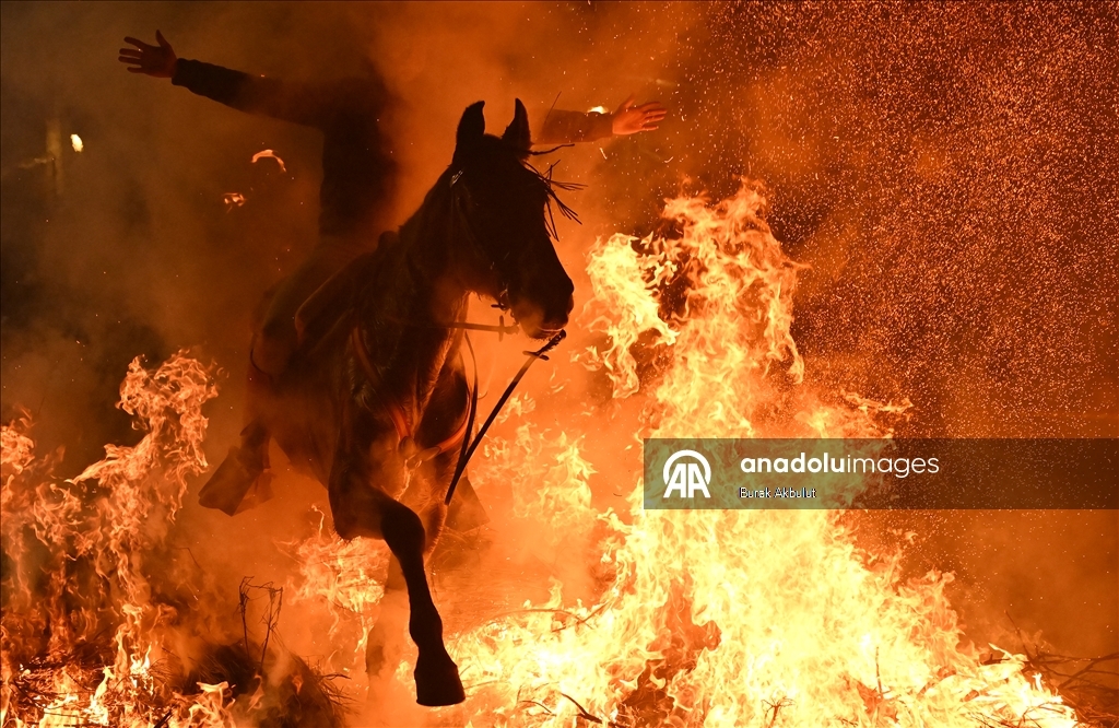 İspanya'da kutsanan atlar ateşin üzerinden atlatıldı