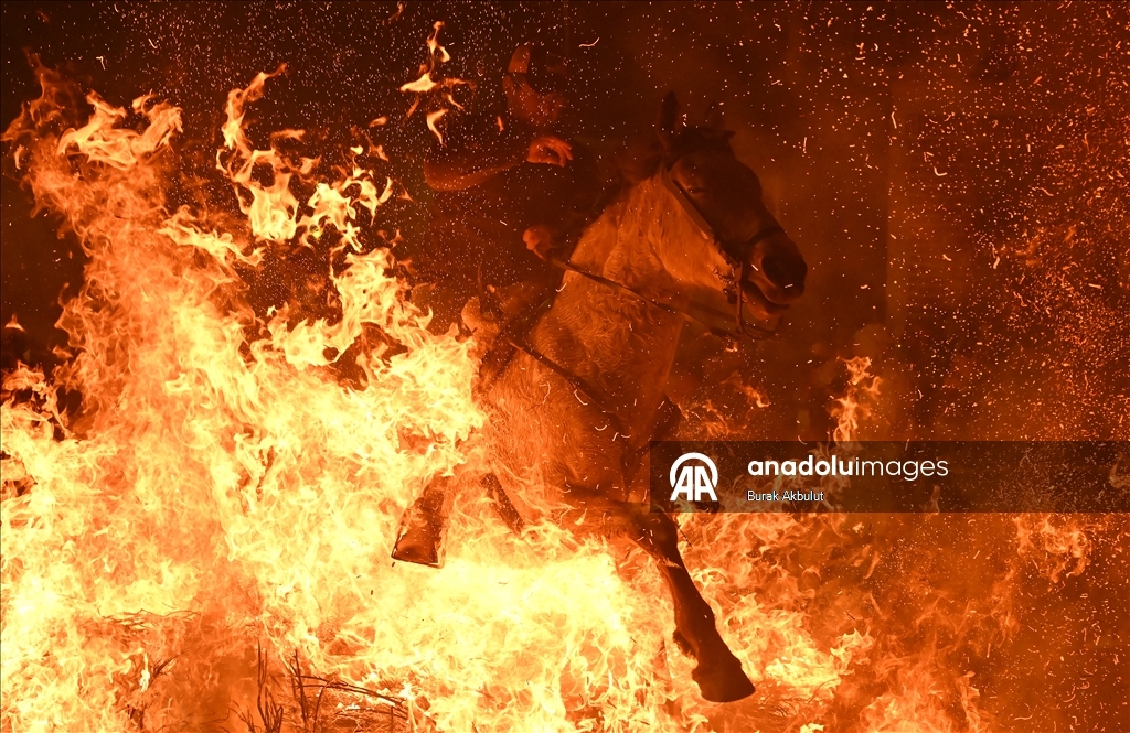 İspanya'da kutsanan atlar ateşin üzerinden atlatıldı