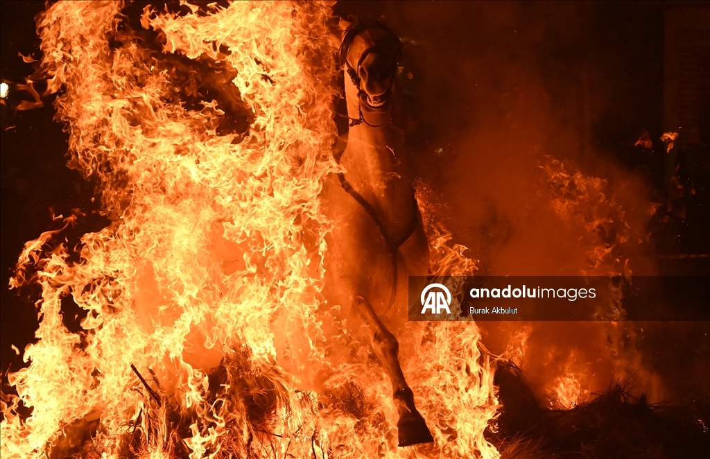 İspanya'da kutsanan atlar ateşin üzerinden atlatıldı