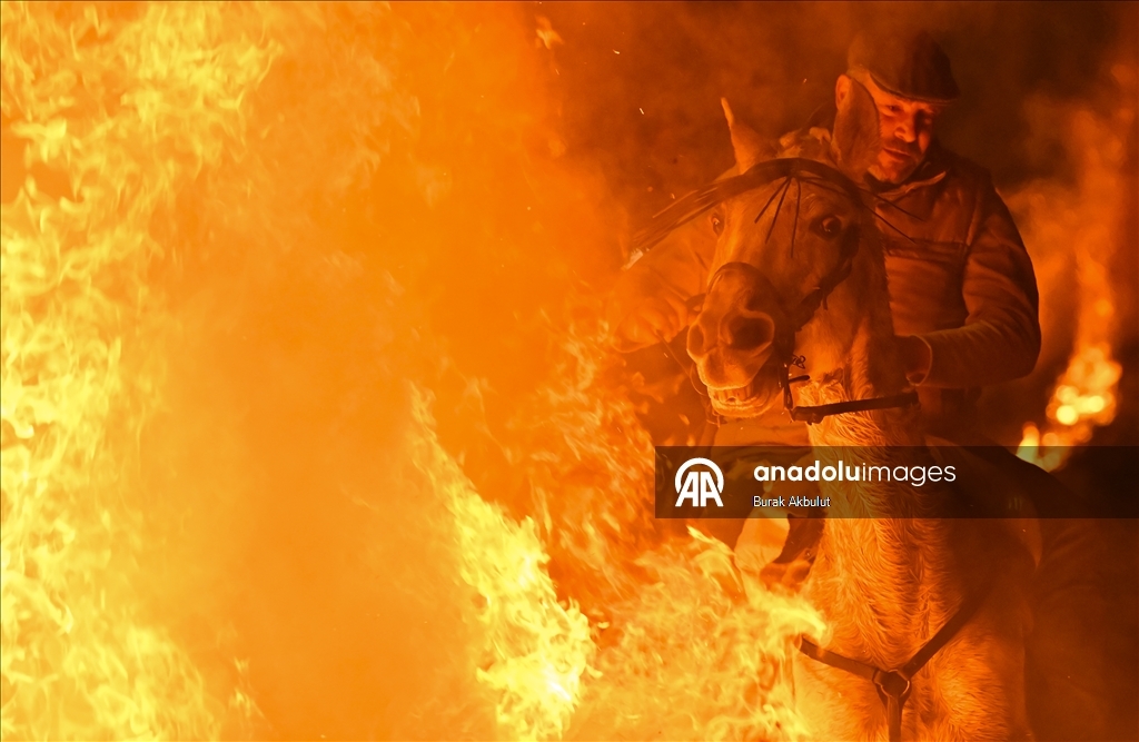 İspanya'da kutsanan atlar ateşin üzerinden atlatıldı