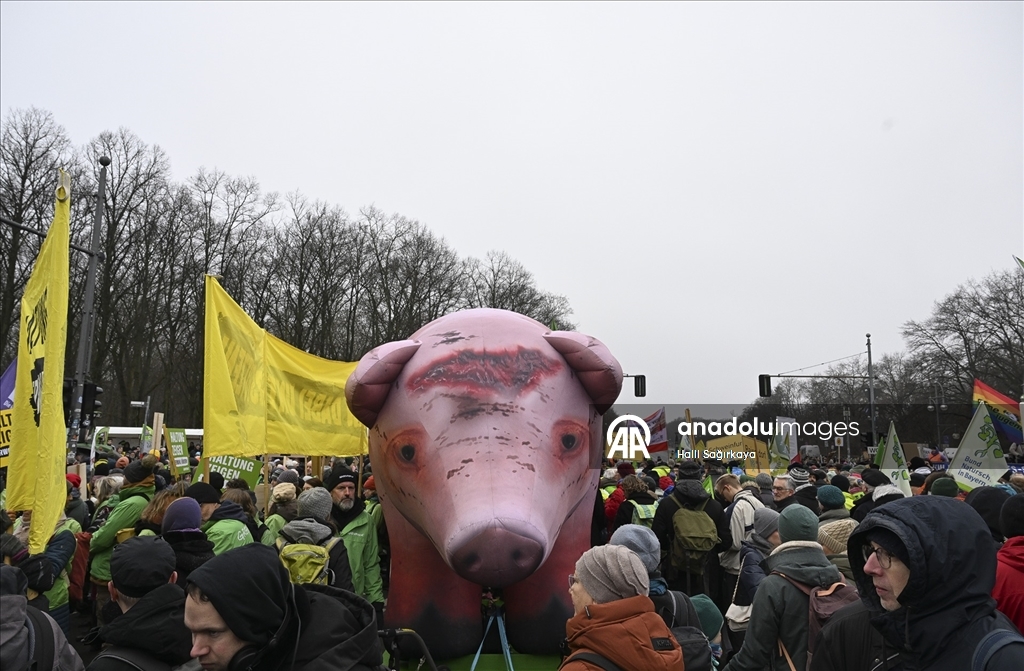 Almanya'da çiftçiler hükümetin tarım politikalarını protesto etti