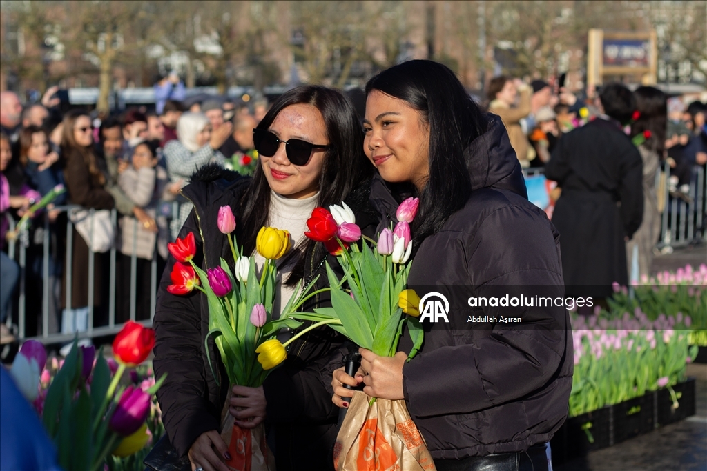 Hollanda’da "Ulusal Lale Günü" etkinliği