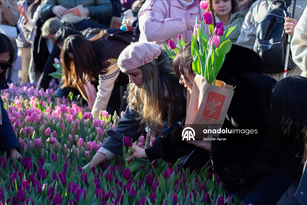 Hollanda’da "Ulusal Lale Günü" etkinliği