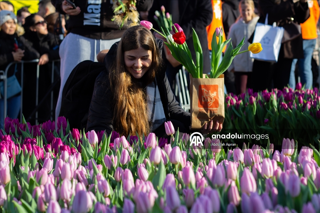 Hollanda’da "Ulusal Lale Günü" etkinliği