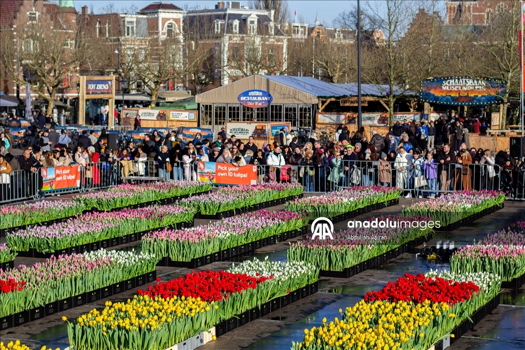 Hollanda’da "Ulusal Lale Günü" etkinliği