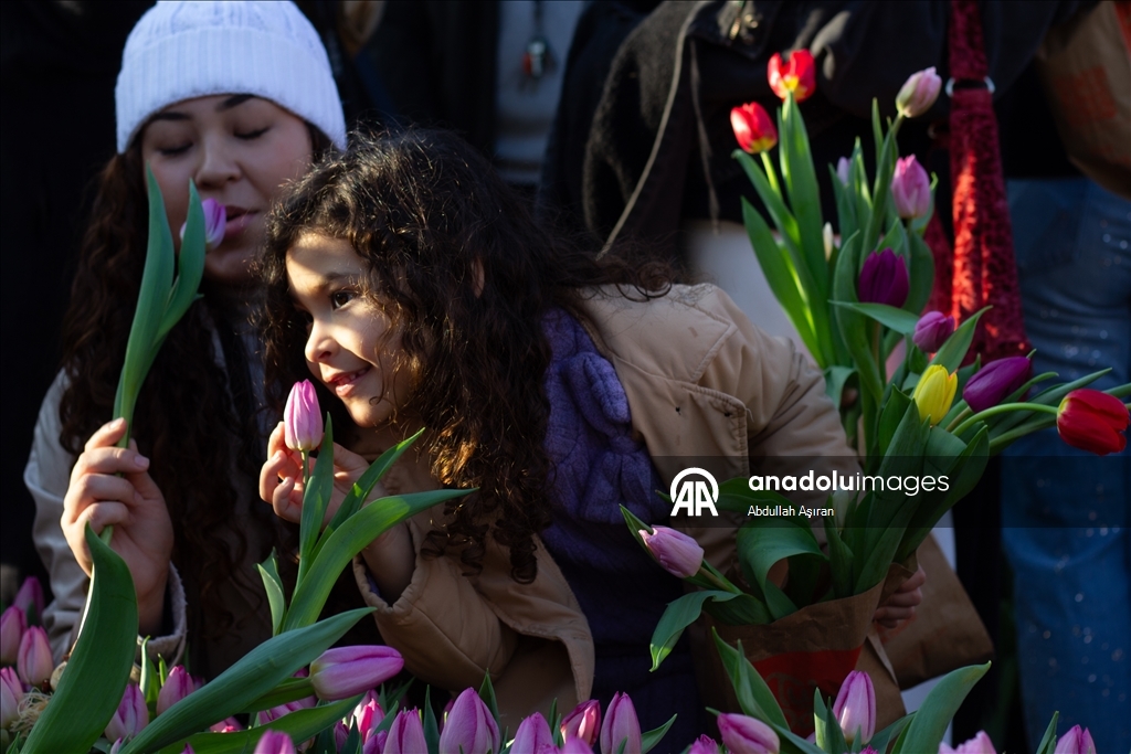 Hollanda’da "Ulusal Lale Günü" etkinliği