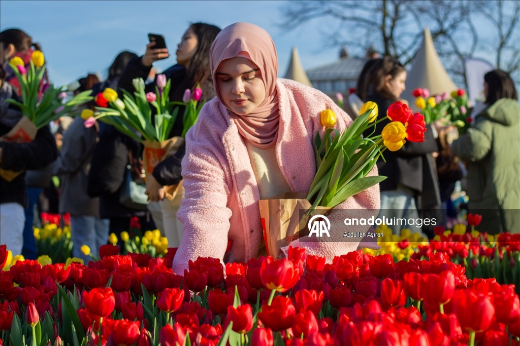 Hollanda’da "Ulusal Lale Günü" etkinliği