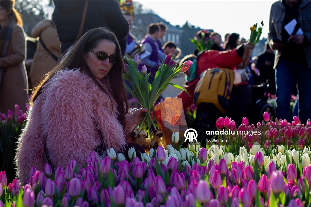 Hollanda’da "Ulusal Lale Günü" etkinliği
