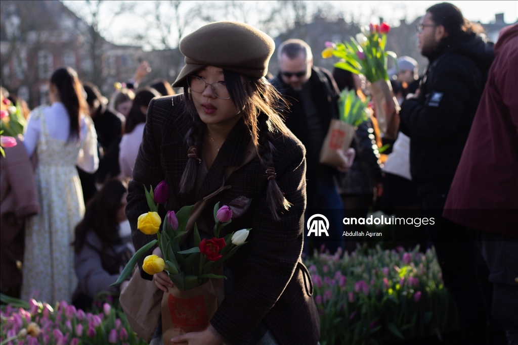 Hollanda’da "Ulusal Lale Günü" etkinliği