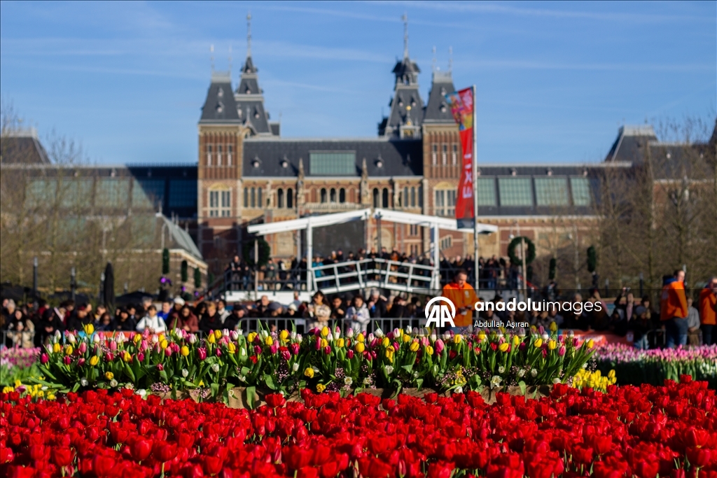 Hollanda’da "Ulusal Lale Günü" etkinliği