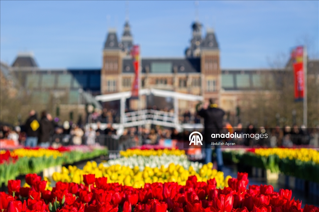 Hollanda’da "Ulusal Lale Günü" etkinliği