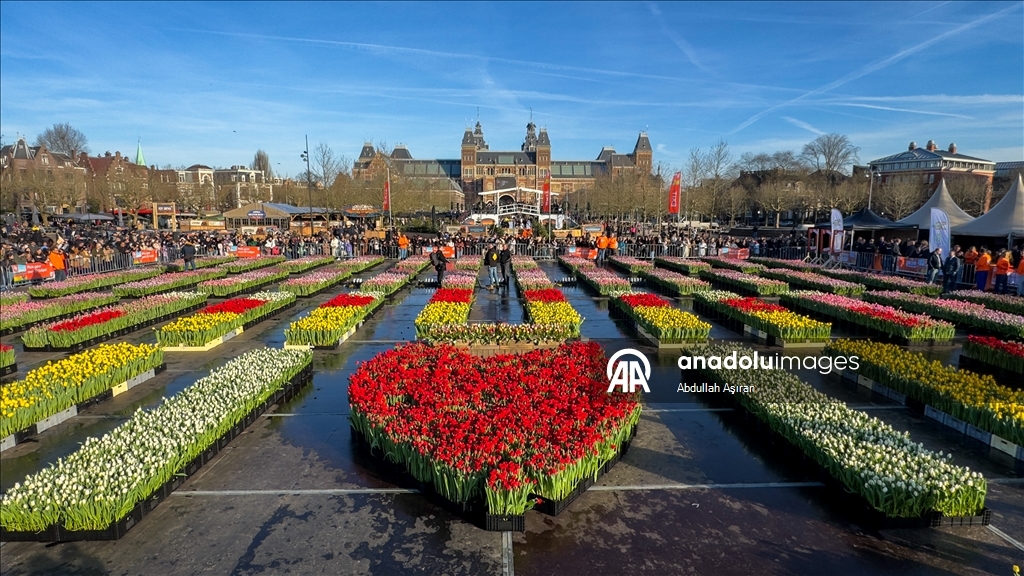 Hollanda'da "Ulusal Lale Günü" etkinliği yapıldı